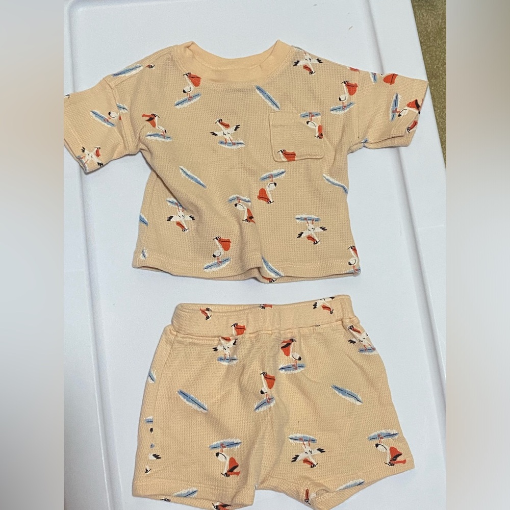 Baby Pelican Surfing Two Piece Set